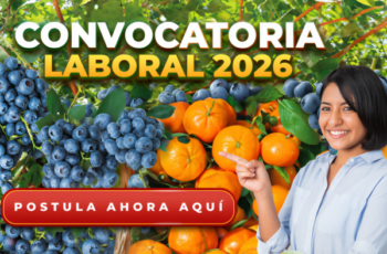 Empleo en Campo con Buen Sueldo – Postula Hoy